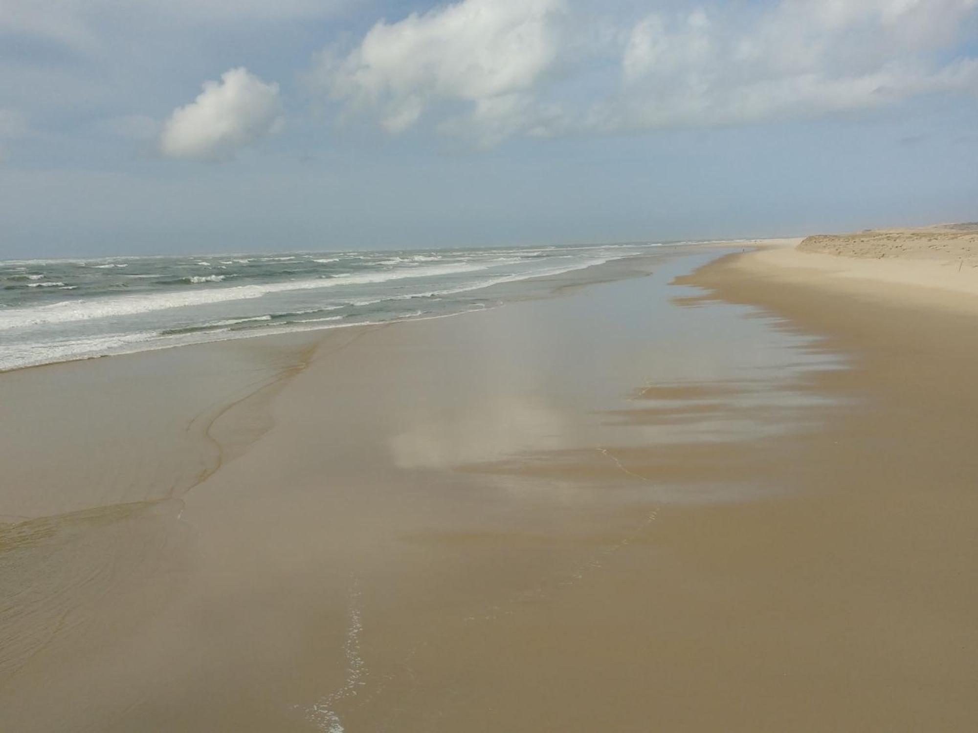 Charmant Appartement Pour 6 En Centre-Ville D'Arcachon Avec Terrasse, Parking Et Wifi - Fr-1-474-174 Екстер'єр фото